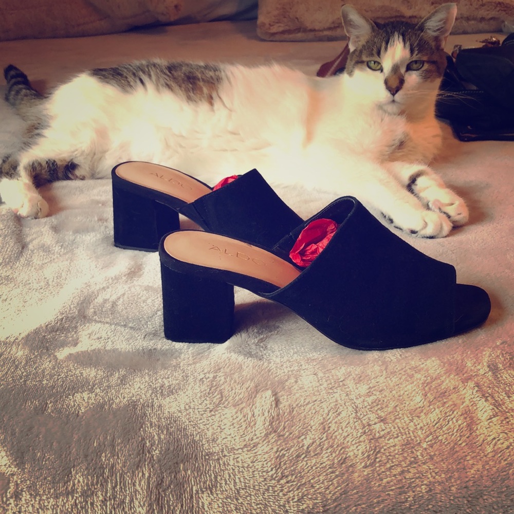 Aldo Alaska Black Suede 3” stack heel slide/mule